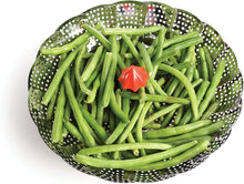 Collapsible SS Steamer