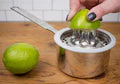 Citrus Juicer-Everyday Gourmet
