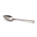 Grapefruit Spoon