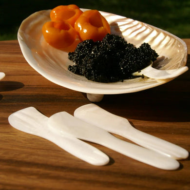 Seashell Spreaders