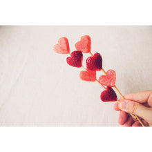 Mini Fruit & Veggie Cutters