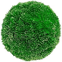 Green Berry Ball