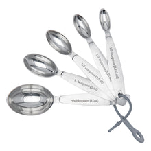Measuring Spoon 5 pc set