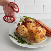 Helen's Universal Scissors