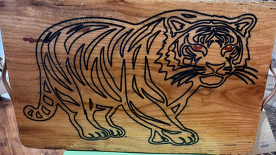 Live Edge Tiger Walking-2519