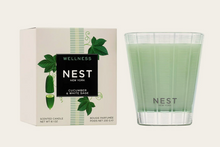 NEST Candle - Cucumber & White Sage
