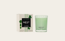 NEST Candle - Cucumber & White Sage