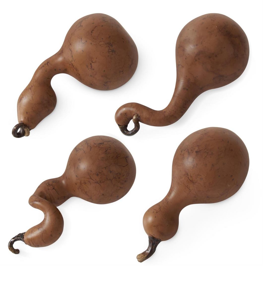 Light Brown Mini Gourds