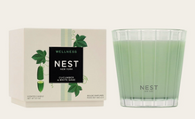 NEST Candle - Cucumber & White Sage