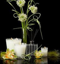 NEST Candle - Lemongrass & Ginger