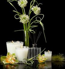 NEST Candle - Lemongrass & Ginger