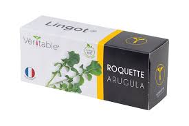 Lingot-Arugula