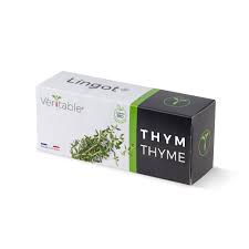 Lingot-Thyme