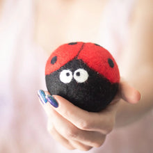 Ladybug Dryer Balls