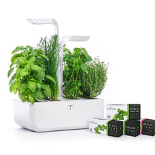 Veritable Indoor Garden